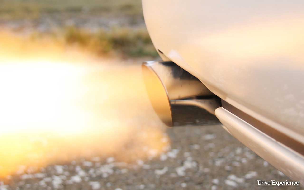 TISO ALBERTO BULDOZZER SRL EKLYSSE (18)