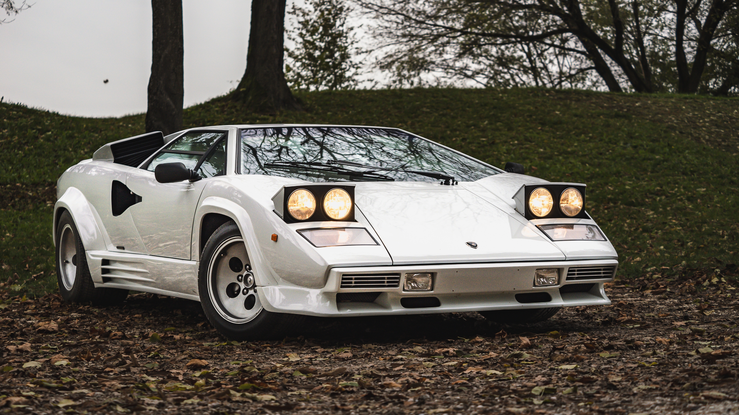 Lamborghini Countach 5000 QV: sinfonia di V12 a carburatori