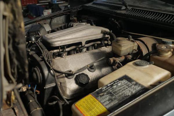 Alfa-Romeo-GTV6-Eleonora-Davide-Cironi-Dal-Pollaio-alla-Pista-10