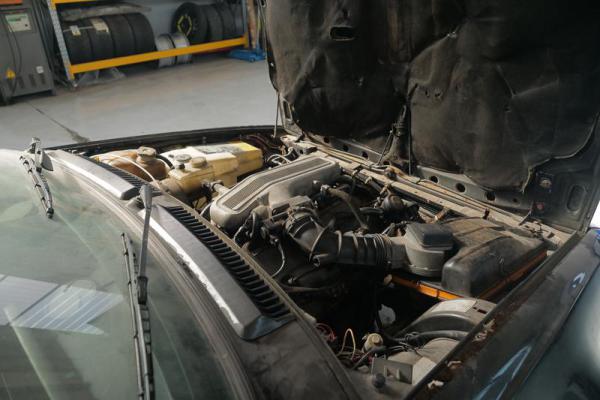 Alfa-Romeo-GTV6-Eleonora-Davide-Cironi-Dal-Pollaio-alla-Pista-8